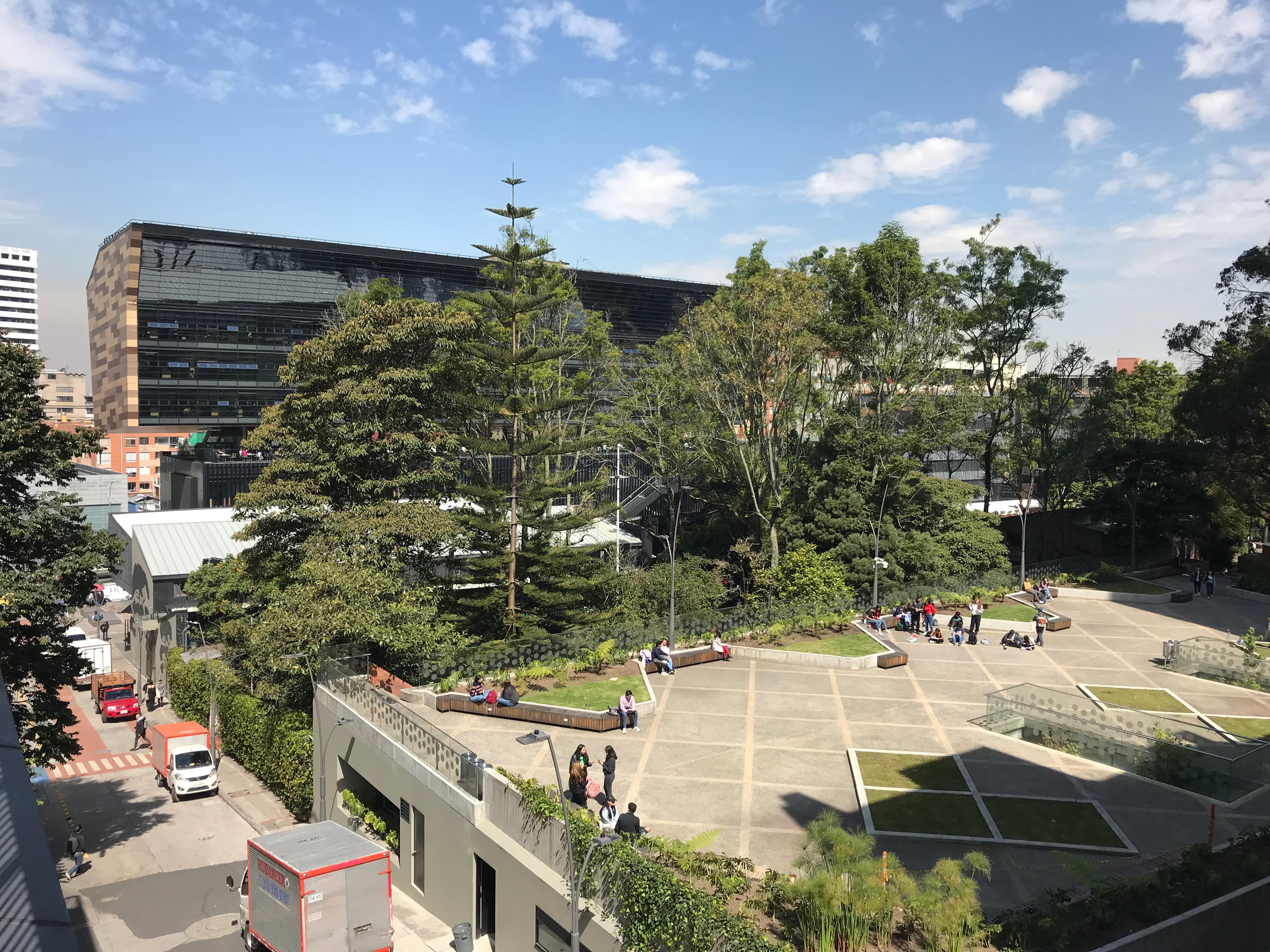 Ganadora del premio 2023-24 Psi Chi Undergraduate Scholarships